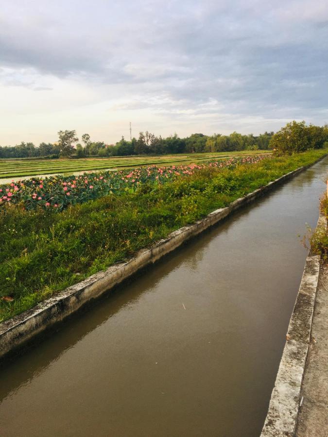 Village Biệt thự *