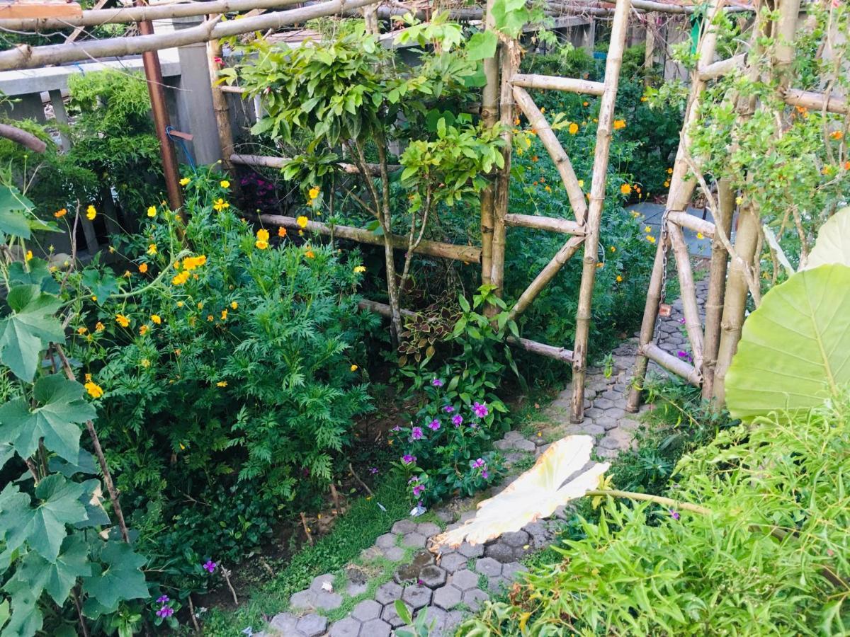 Biệt thự Village Hội An
